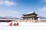BUSAN - SEOUL - TRƯỢT TUYẾT TẾT 2027